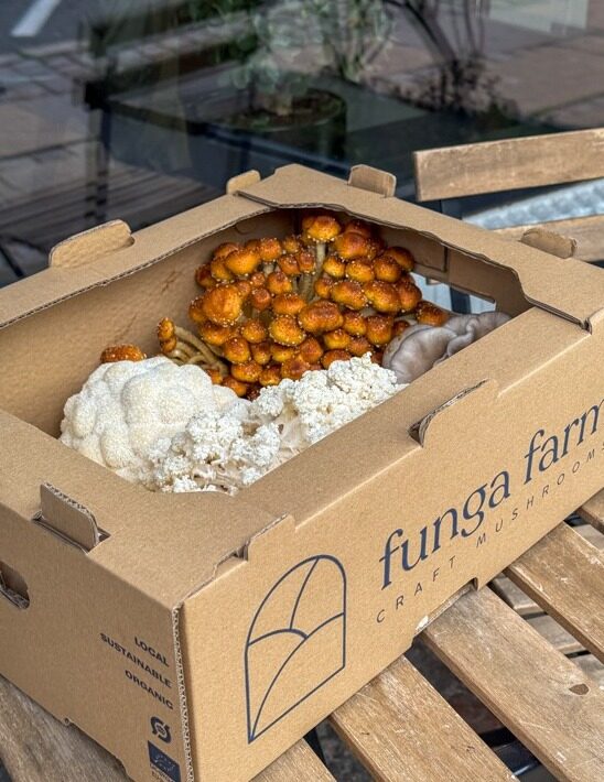 🍂 Fall equals mushrooms and that’s one of the reasons why we love this season.  We just received these stunning mushrooms from our friends at @fungafarm, and now the fun begins: testing, tasting, and playing with them in all kinds of ways to see how they might find their place on our upcoming fall menus.  The forest is definitely coming to the table this season🍄  Stay tuned