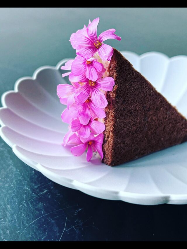 Should we bring back our version of a kinder milk slice?  2 thin slices of deep cocoa flavored cake
Lightly fermented honey
Rich organic milk cream  Drop a comment for yes or no